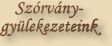 Sz�rv�ny-gy�lekezeteink